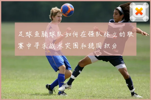 足球鱼腩球队如何在强队林立的联赛中寻求战术突围和稳固积分