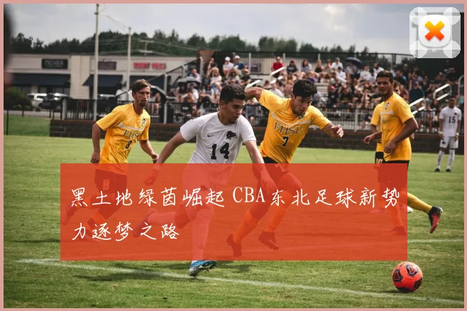 黑土地绿茵崛起 CBA东北足球新势力逐梦之路